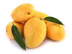 Fresh Kesar Mango