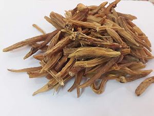 Dried Shatavari Root