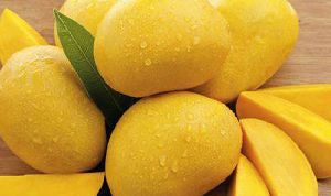 Fresh Alphonso Mango