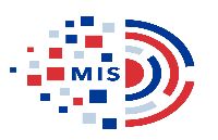 Management Information System (MIS) Development Services
