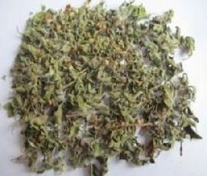 Dehydrated Tulsi Leaves