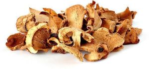 Brown Dried Oyster Mushroom