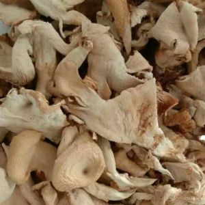 Natural Dried Oyster Mushroom