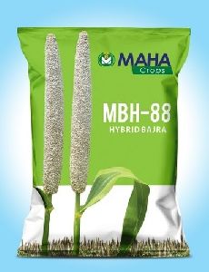 Hybrid Bajra Seeds