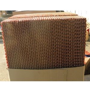 Cellulose Paper Pad