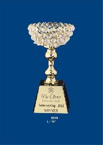 Crystal Cup Trophy