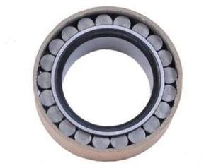 Stainless Steel Planetary Bearing