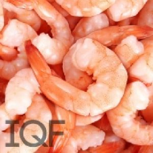 Frozen Large Prawns