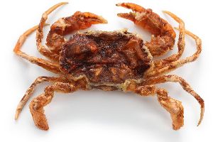 Shelled Crabs