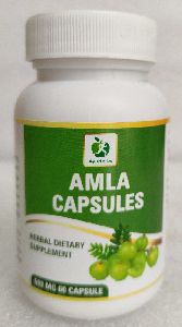 Amla Capsule 500 Mg