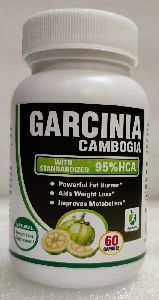 Garcinia cambogia extract Capsule