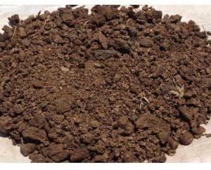 Cowdung Powder