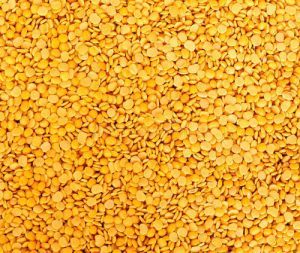 Yellow Lentils