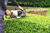Landscaping & Gardening Services