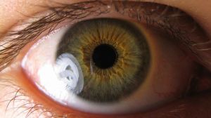 Stem Cell Therapy for Eye Disease