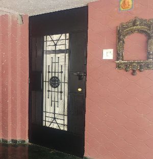 Designer Safety Door Ashok Chakra Design DSR-002