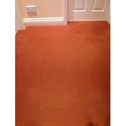Polypropylene Loop Pile Carpet
