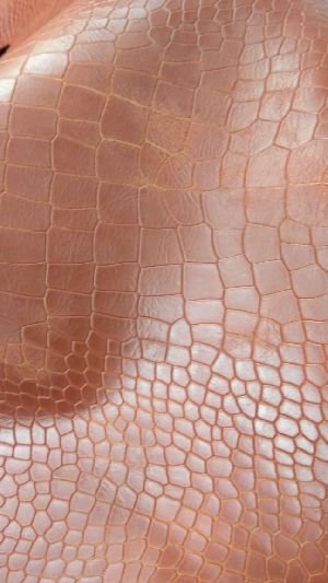 Cow Print Foil Leather