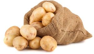 Fresh Gujarat Potato