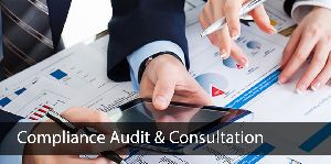 Compliance Audit & Consulting Services