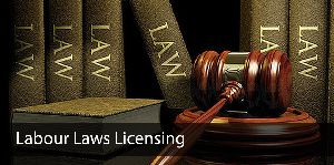 Labour Law License Services