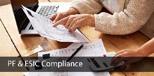 PF & ESIC Compliance Services