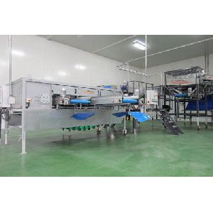 Electric Vegetable Processing Plant