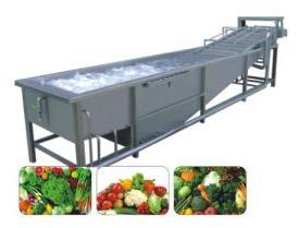 Vegetable Washing Machine