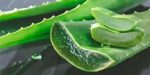 Aloe Vera Extract