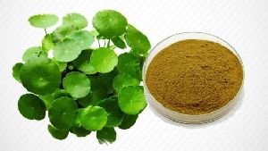 Centella Extract