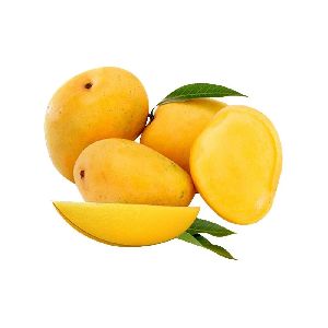 Fresh Chaunsa Mango