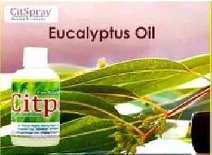 Eucalyptus Oil