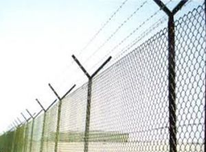 Chain Link Fencing