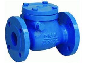 Check Valve