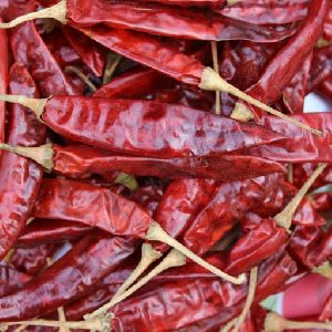 Dry Red Chilli