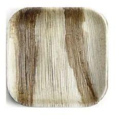 10 Inch Areca Square Shallow Plate