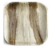 6 Inch Areca Square Shallow Plate