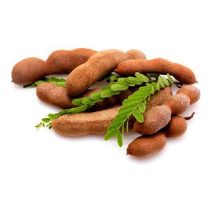 Fresh Tamarind