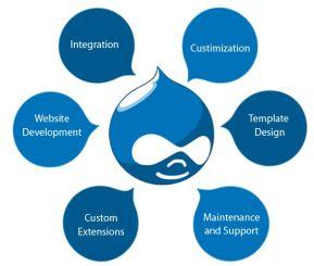 Drupal Development Services