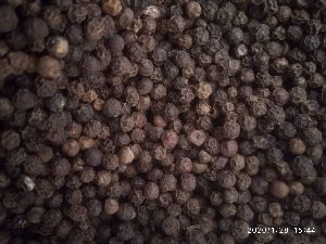 Black Pepper Seeds