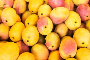 Fresh Alphonso Mango