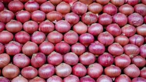 Fresh Red Onion