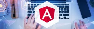 Angularjs Development Services