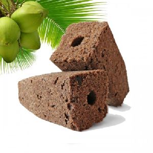 Coco Peat Grow Plug