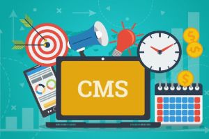 Cms Web Development Services