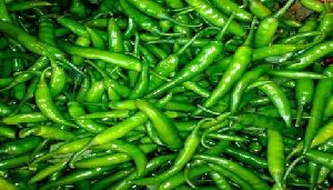 Fresh Green Chilli