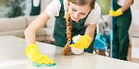 professional cleaning services