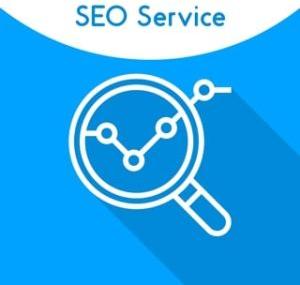 Search Engine Optimization Service