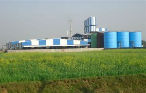 Vegetable Oil Refining Plant