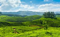 Exotic Kerala Honeymoon Tour Package